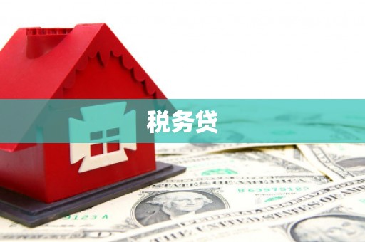 江源税务贷