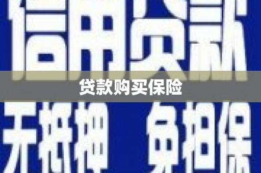 江源贷款购买保险