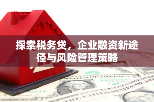 江源探索税务贷，企业融资新途径与风险管理策略