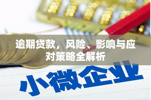 江源逾期贷款，风险、影响与应对策略全解析