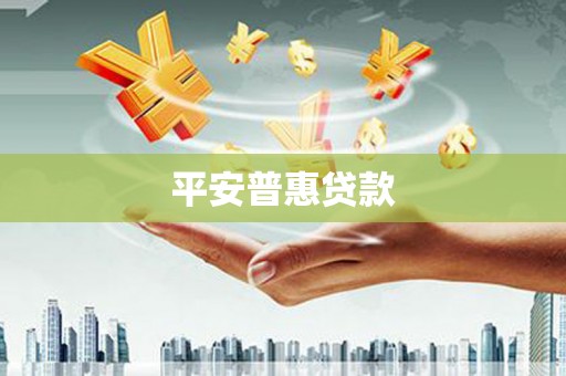 江源平安普惠贷款