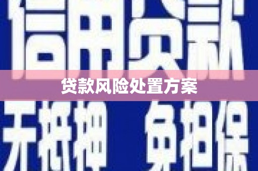 江源贷款风险处置方案