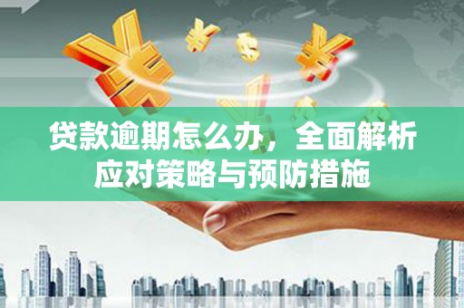 江源贷款逾期怎么办，全面解析应对策略与预防措施