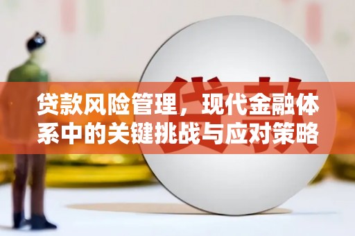 江源贷款风险管理，现代金融体系中的关键挑战与应对策略