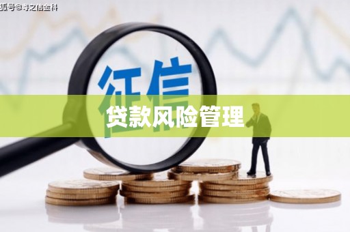 江源贷款风险管理