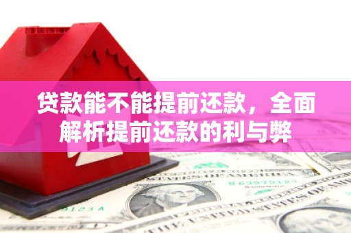 江源贷款能不能提前还款，全面解析提前还款的利与弊