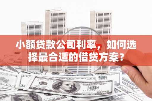 江源小额贷款公司利率，如何选择最合适的借贷方案？