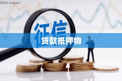 江源贷款抵押物