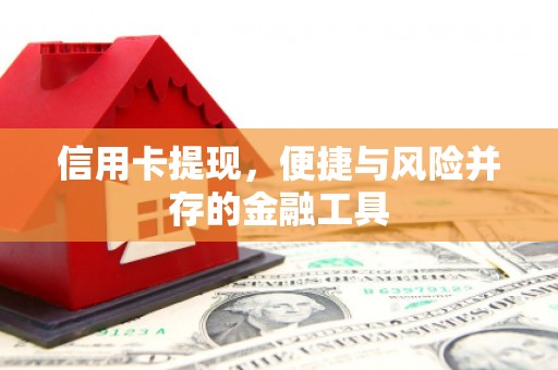 江源信用卡提现，便捷与风险并存的金融工具