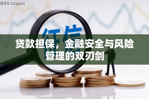 江源贷款担保，金融安全与风险管理的双刃剑