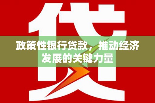 江源政策性银行贷款，推动经济发展的关键力量
