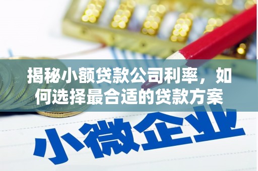 江源揭秘小额贷款公司利率，如何选择最合适的贷款方案
