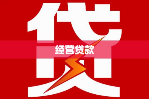 江源经营贷款