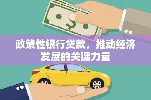 江源政策性银行贷款，推动经济发展的关键力量