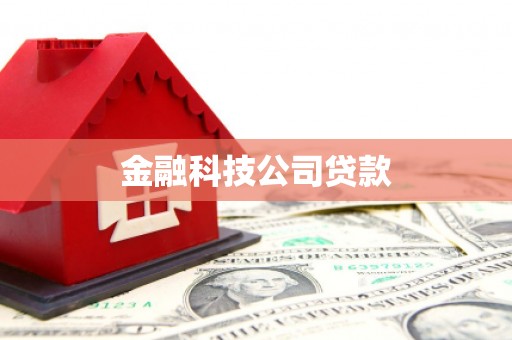江源金融科技公司贷款