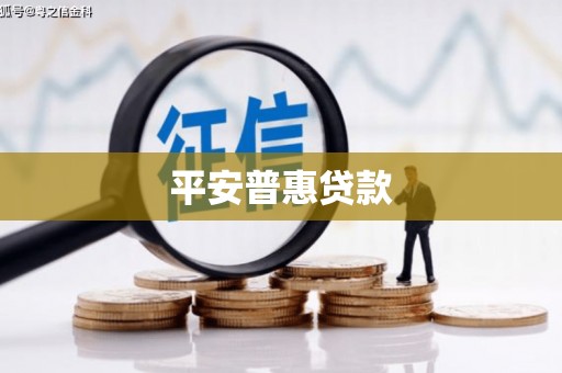江源平安普惠贷款
