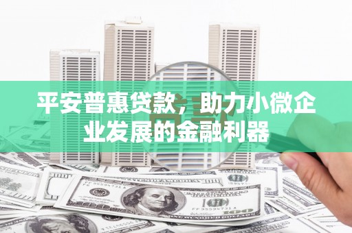 江源平安普惠贷款，助力小微企业发展的金融利器