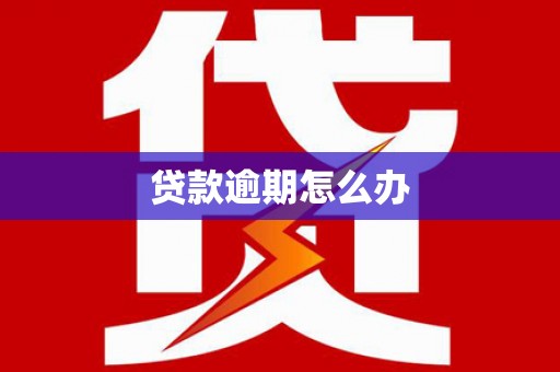 江源贷款逾期怎么办