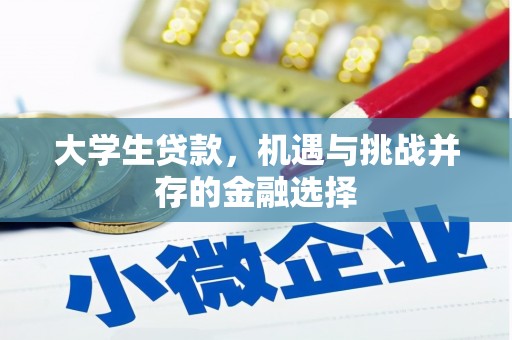 江源大学生贷款，机遇与挑战并存的金融选择