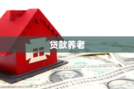 江源贷款养老