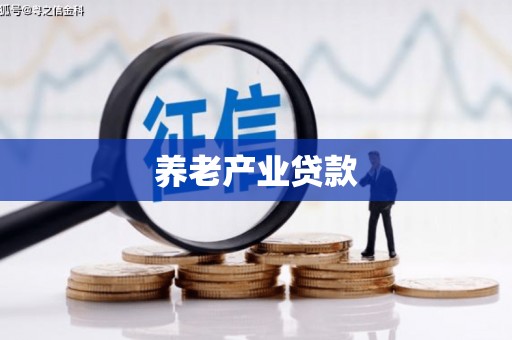 江源养老产业贷款