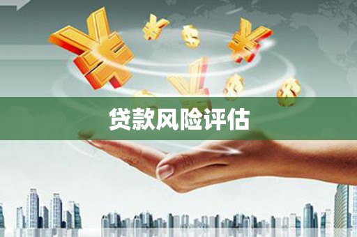 江源贷款风险评估