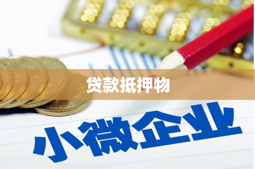 江源贷款抵押物