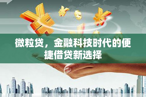 江源微粒贷，金融科技时代的便捷借贷新选择