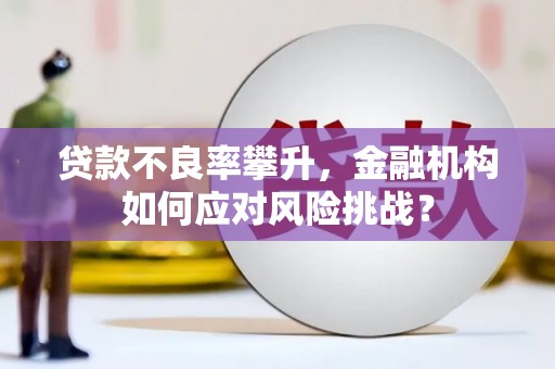 江源贷款不良率攀升，金融机构如何应对风险挑战？