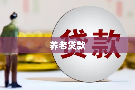 江源养老贷款