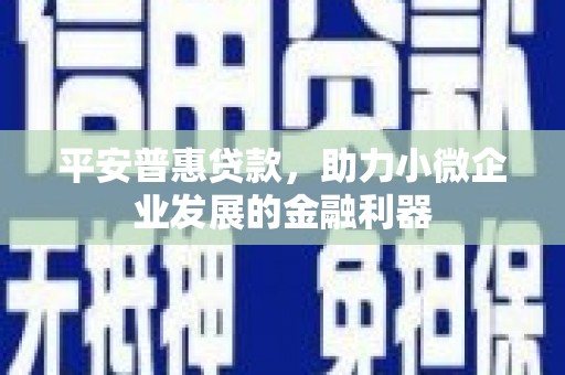江源平安普惠贷款，助力小微企业发展的金融利器