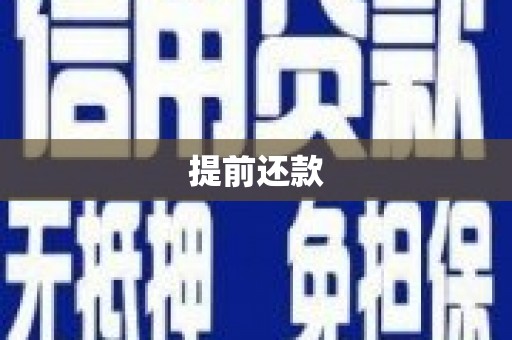 江源提前还款