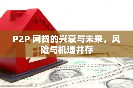 江源P2P 网贷的兴衰与未来，风险与机遇并存
