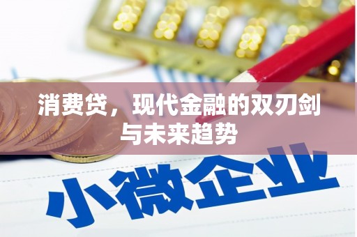江源消费贷，现代金融的双刃剑与未来趋势