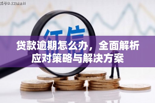 江源贷款逾期怎么办，全面解析应对策略与解决方案
