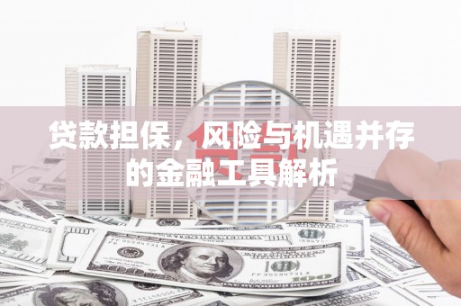 江源贷款担保，风险与机遇并存的金融工具解析