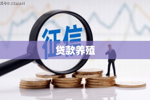 江源贷款养殖