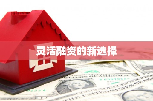 江源灵活融资的新选择