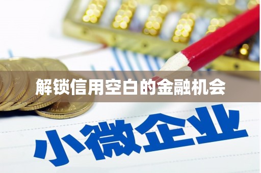江源解锁信用空白的金融机会