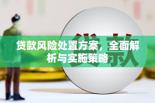 江源贷款风险处置方案，全面解析与实施策略