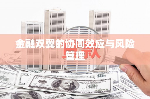江源金融双翼的协同效应与风险管理
