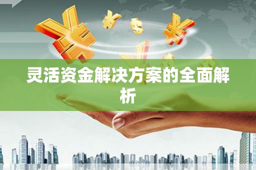 江源灵活资金解决方案的全面解析