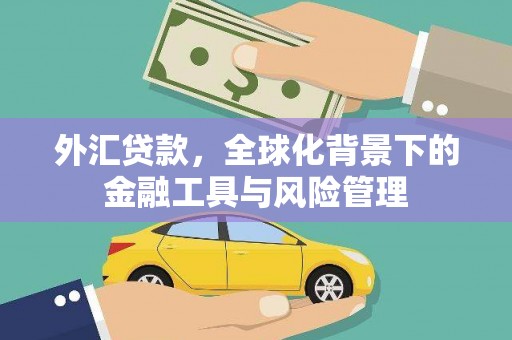 江源外汇贷款，全球化背景下的金融工具与风险管理
