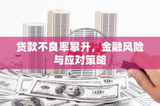 江源贷款不良率攀升，金融风险与应对策略