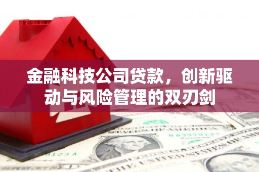 江源金融科技公司贷款，创新驱动与风险管理的双刃剑